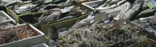 mercato_pesce.jpg