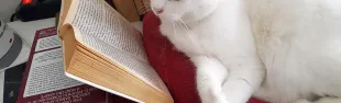 miky7.jpg