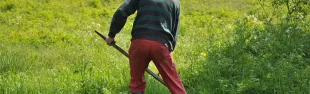 mowing-1532931_1280.jpg