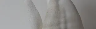narcisetto2013_0.jpg
