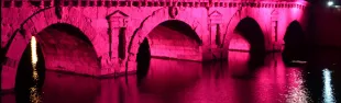notte-rosa-a-rimini.jpg