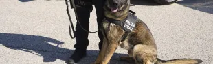 nuova_unita_cinofila_della_polizia_locale-2_0.jpg