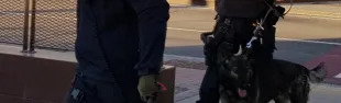 operazione_anti_degrado_della_polizia_locale_1.jpg