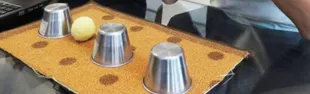 pallinari_1140_0.jpg