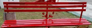 panchina_rossa_cc_rimini.jpg
