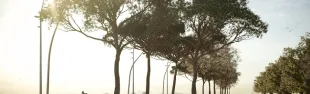 parcodelmare_2.jpg