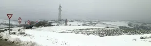piano_neve_-_san_paolo.jpg
