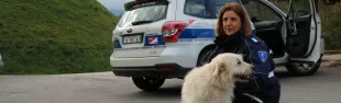 polizia_municipale_1.jpg
