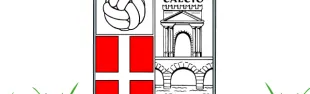 rimini-calcio.png