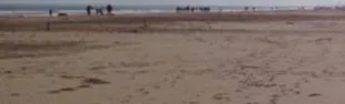 rimini-mare-inverno-spiaggia-800x600_1.jpg