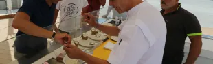 rimini_street_food_-_franco_pepe_02.jpg