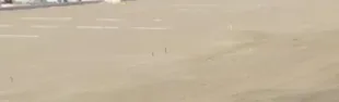 riminispiaggia_0.jpg