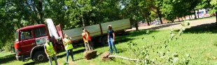 ripiantumazione_p1500422_0.jpg