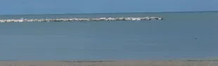 scogliere.jpg