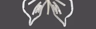 senza_nome_3.png