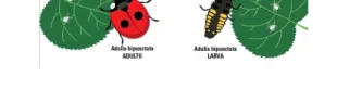 senza_nome_56.png