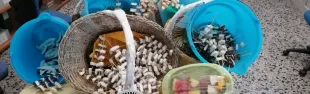 sequestro_di_cocco_e_cocomero_della_pl_di_rimini_0.jpg