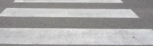 striscepedonali.jpg