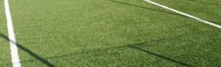 terreno-sintetico.jpg