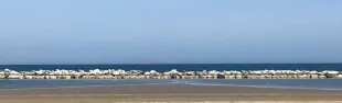 viserba_mare.jpg