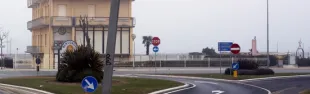 viserbella.jpg
