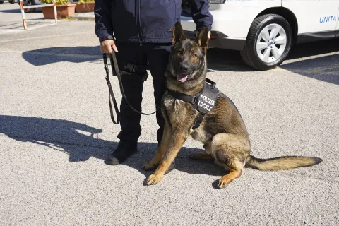 Dexter - unità cinofila