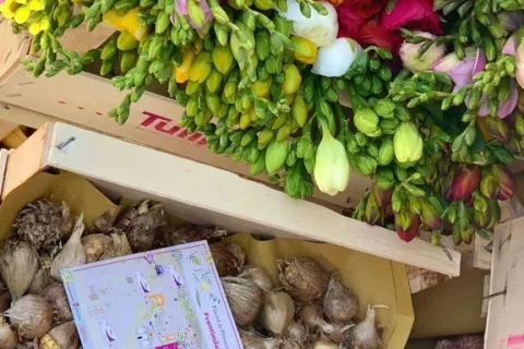 Giardini d'autore 2021