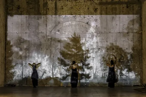 danza contemporanea