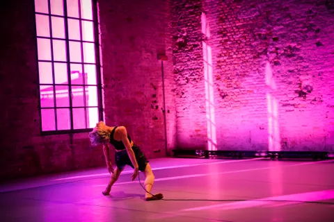 compagnia simona bertozzi nexus, ilinx don't stop the dance