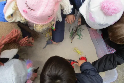gioco