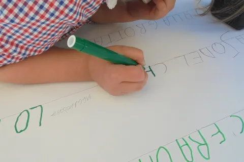 attività