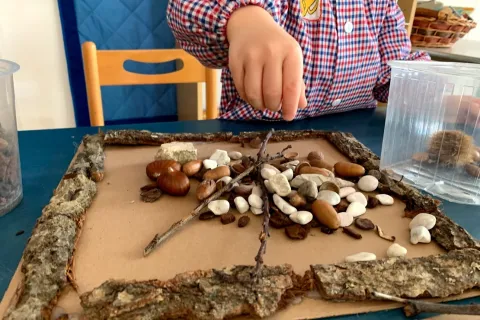 attività