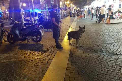 polizia locale - controlli serali