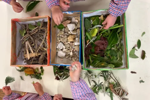 elementi della natura