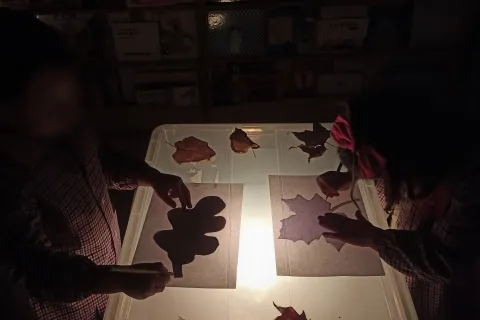 attività