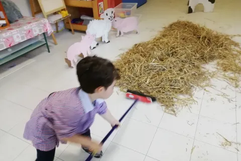 attività