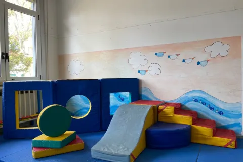 il millepiedi