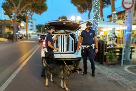 Pattuglione Polizia Locale con le unità cinofile
