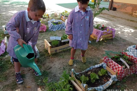 i bambini annaffiano