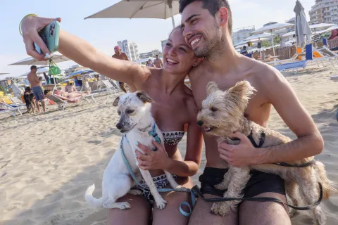 cani in spiaggia