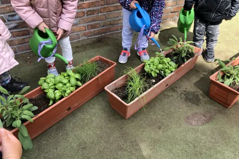 giardinaggio 