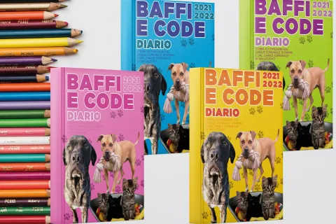 “Baffi e code”, i simpaticissimi quadernoni a righe e quadretti pensati per le scuole elementari e medie