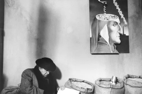 Amarcord - Federico Fellini