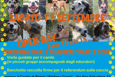 Open day del canile “Stefano Cerni”: sabato 11 settembre la giornata dedicata alle visite guidate per promuovere le adozioni. Ospite speciale il cane Mario, operato dopo l’incidente con i fondi dell’iniziativa “Baffi e code”