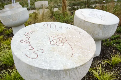Bosco dei nomi