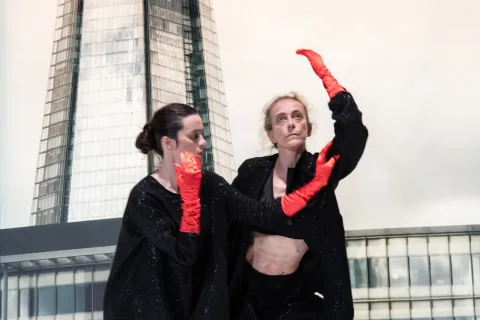 TOCCARE The White Dance