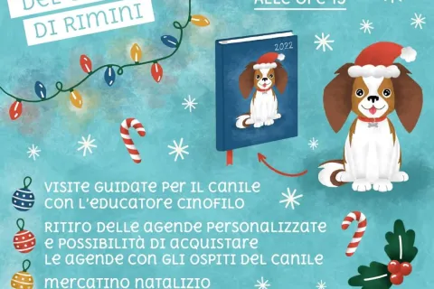 Open day del canile Stefano Cerni: sabato 18 le visite guidate e il mercatino per sostenere le cure e le attività degli amici a 4 zampe