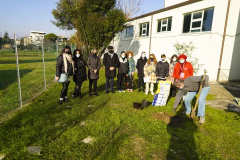 un albero per il futuro