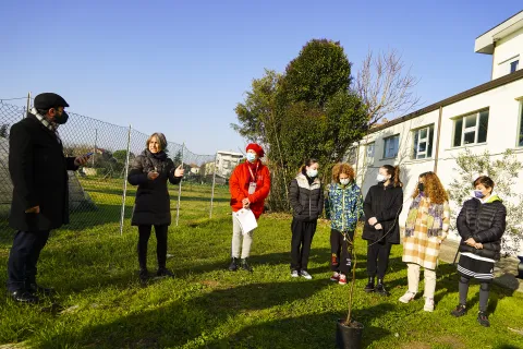 un albero per il futuro