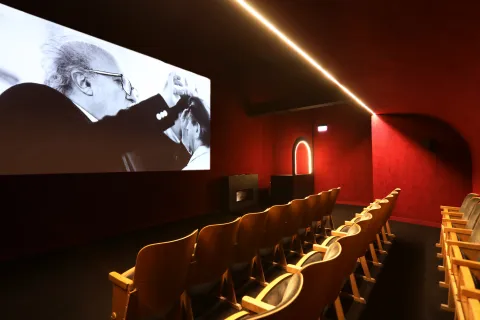 Cinema Fulgor
